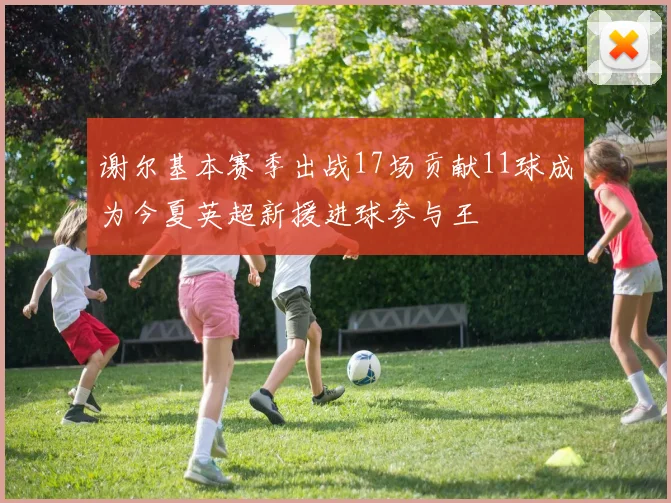 谢尔基本赛季出战17场贡献11球成为今夏英超新援进球参与王