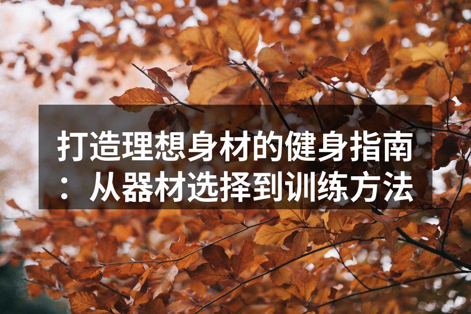 打造理想身材的健身指南：从器材选择到训练方法