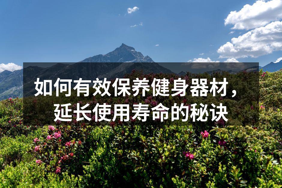 如何有效保养健身器材，延长使用寿命的秘诀