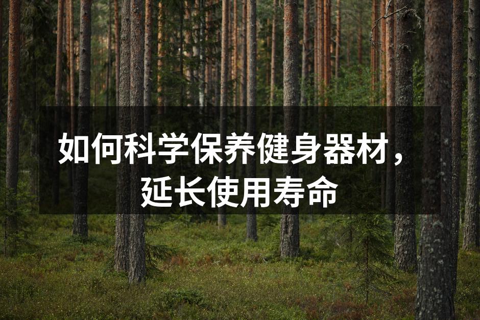 定期清洁器材,保持最佳状态